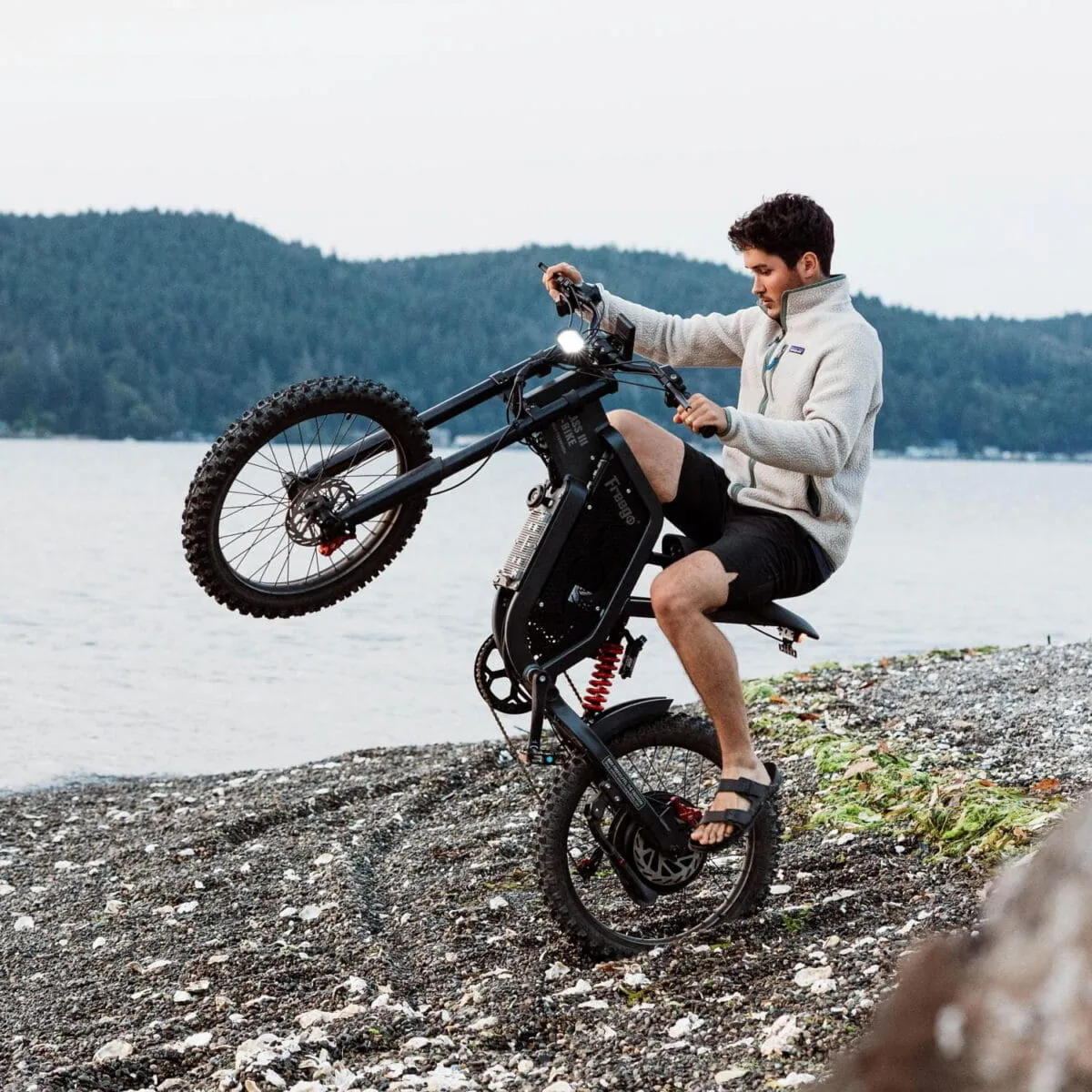 Freego X2 Dirt Master Off-Road eBike - Image 2
